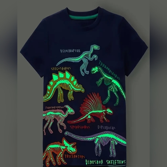 Other - Kids Short Sleeve Dinosaurs Glow-in-the-dark Round Neck T-Shirts Top Boys